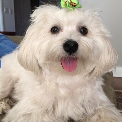 Lili